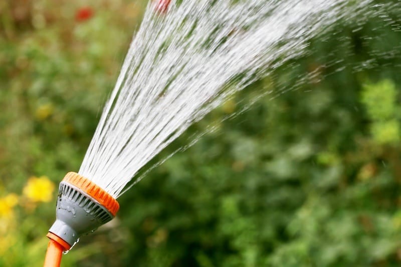 Water Conservation Tips for the Summer
