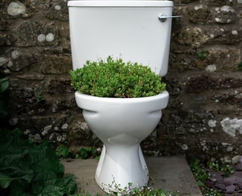 10 things you should never flush down your toilet
