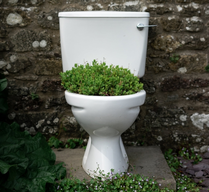 10 things you should never flush down your toilet