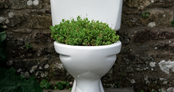 10 things you should never flush down your toilet