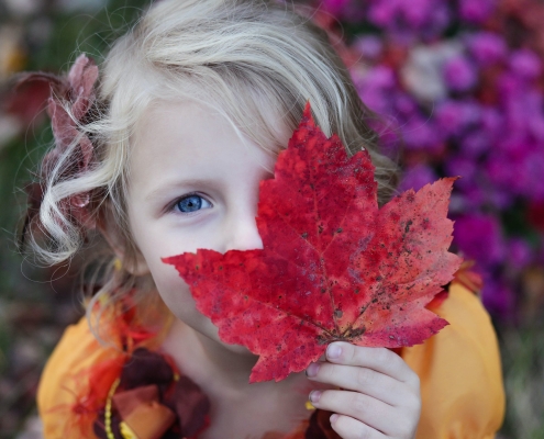 Autumn Plumbing Tips