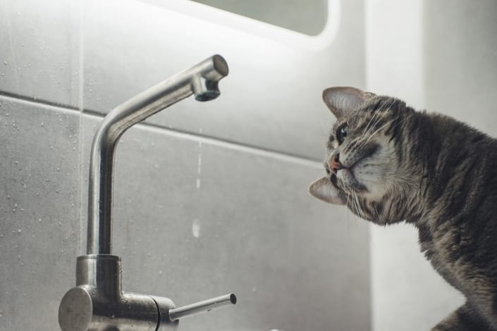 Plumbing-Emergency-Poole’s Plumbing Plumbing-Emergency-Poole's Plumbing