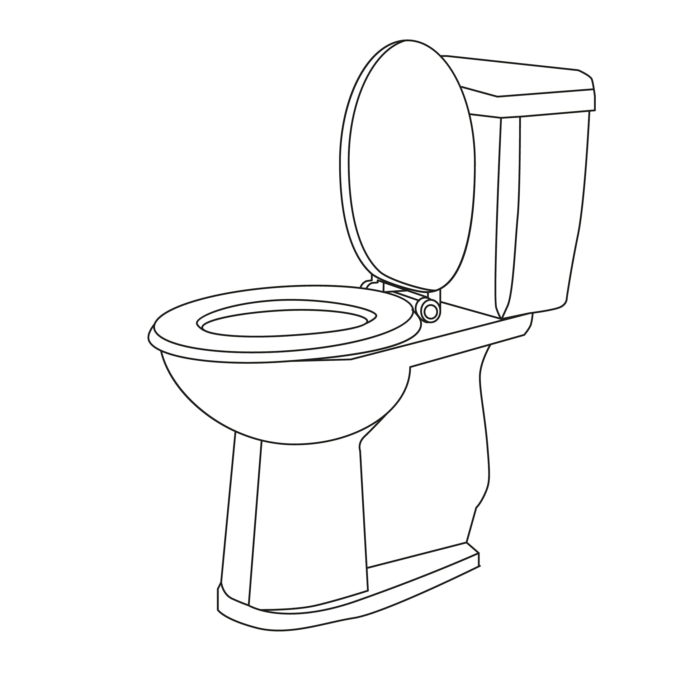 Things you should never put down your toilet