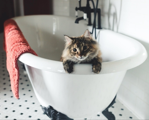 Plumbing Checklist