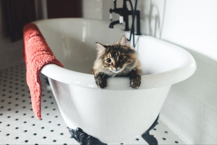 plumbing-list Plumbing Checklist