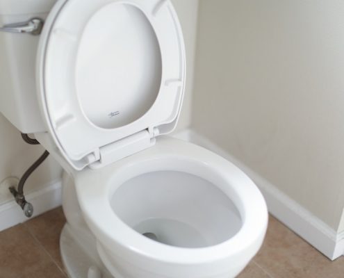 replace-your-toilet-pooles-plumbing